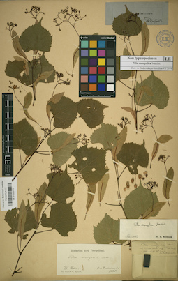 LE 01025770