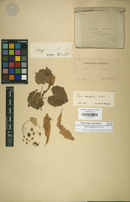 LE 01025772