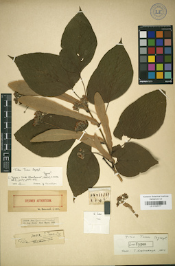 LE 01025777