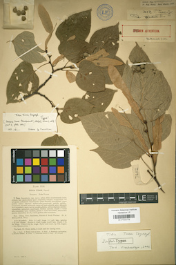 LE 01025778