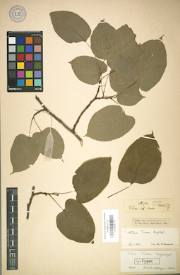 LE 01025779