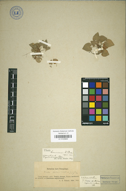 LE 01025800