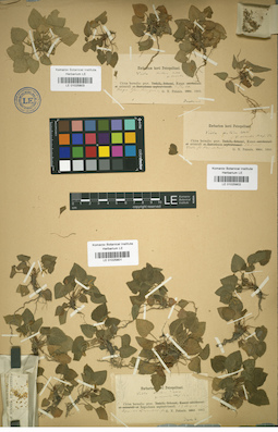 LE 01025801