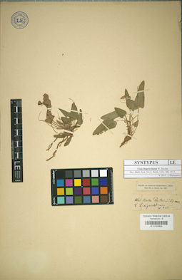 LE 01025804
