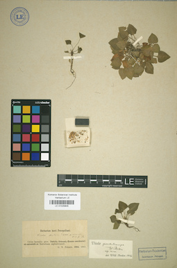 LE 01025805