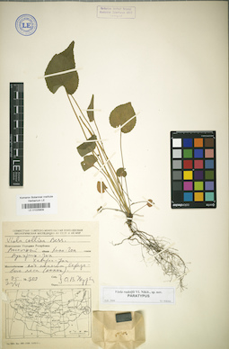 LE 01025809