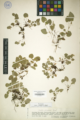 LE 01025811