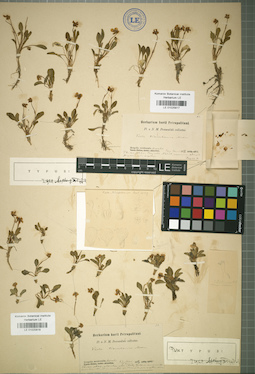 LE 01025817