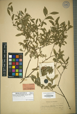 LE 01025831