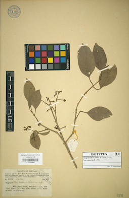 LE 01025855
