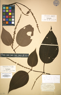 LE 01025863