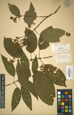 LE 01025864