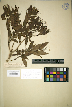 LE 01025865