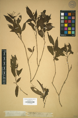 LE 01025866