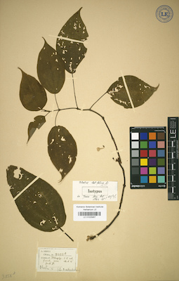 LE 01025867