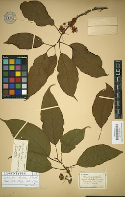 LE 01025868