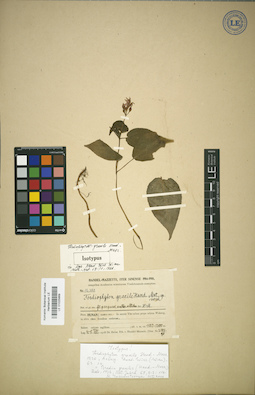 LE 01025869
