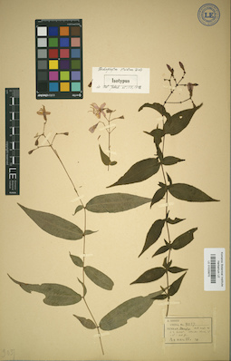 LE 01025870