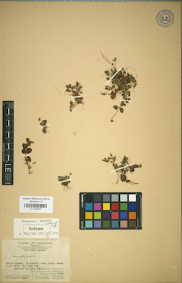 LE 01025871