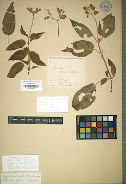 LE 01025872