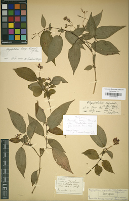LE 01025873