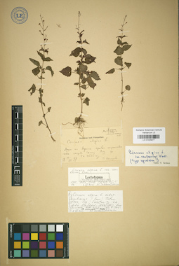 LE 01025877