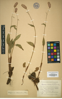 LE 01026069