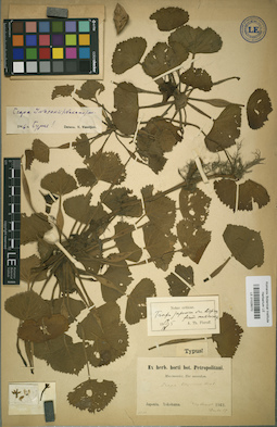 LE 01026070