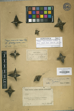 LE 01026071