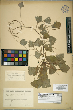 LE 01026072