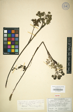LE 01029619