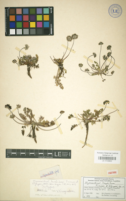 LE 01029620