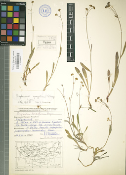 LE 01029623