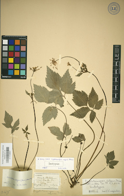 LE 01029637