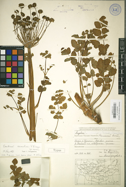 LE 01029673