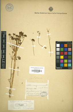 LE 01029675
