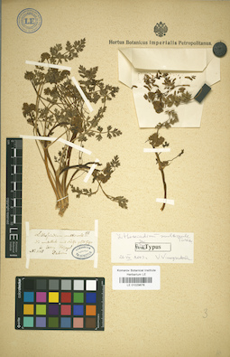 LE 01029676