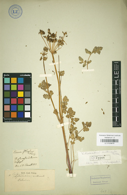 LE 01029678