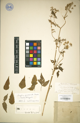 LE 01029701