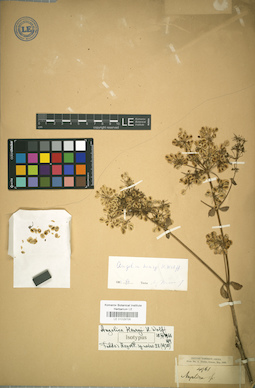 LE 01029706