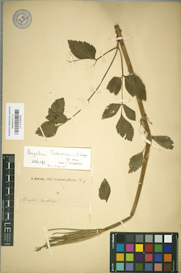 LE 01029763