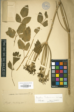 LE 01029765