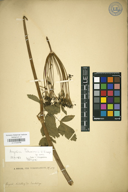 LE 01029766