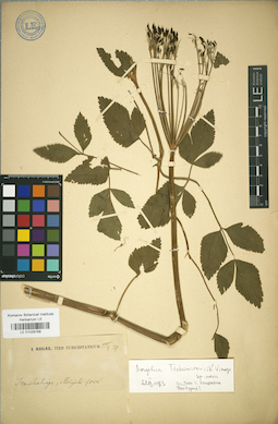 LE 01029768
