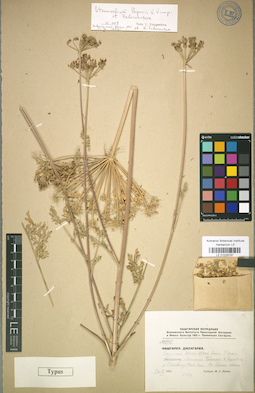 LE 01029787