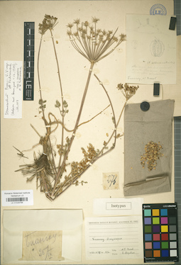 LE 01029788