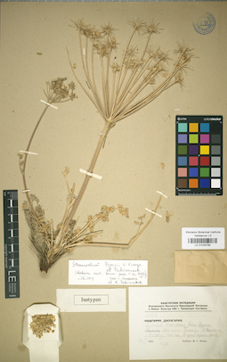 LE 01029789