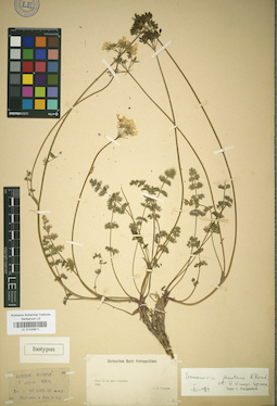 LE 01029811