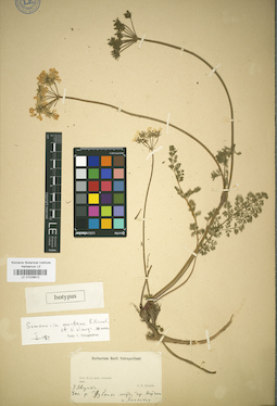 LE 01029812