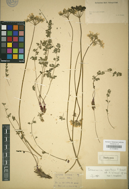 LE 01029814